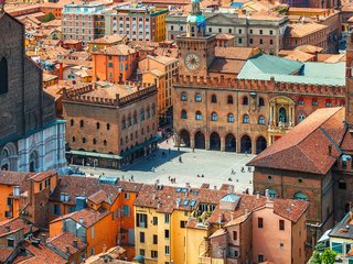 WhatsApp Ibocconi  milan university