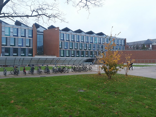 university susex uk